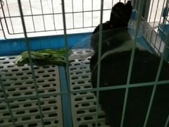 -雨林宠物医院 非犬猫异宠专科