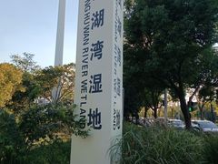 -贡湖湾湿地公园