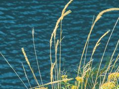 -叠溪松坪沟景区