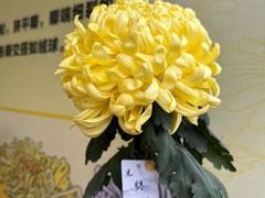 -重庆园博园