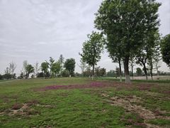 -汉长安城未央宫国家考古遗址公园