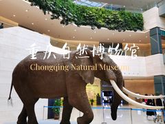 -重庆自然博物馆(新馆)