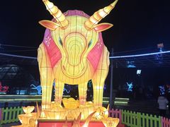 -南宫五洲植物乐园