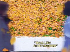 -灞河西岸滨河公园
