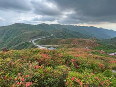 -大围山国家森林公园