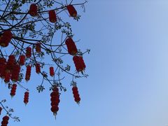 -爱妈妈家政 珠江新城