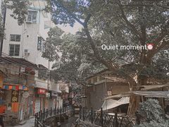 -小洲村