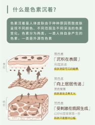 点击看大图 -玛莲朵·海菲秀冰珀科
