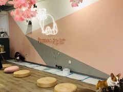 -浣熊柯尔鸭土拨鼠·电玩咖