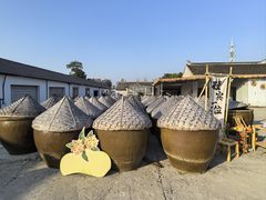 -苏州市吴中区光福窑上花果蜜饯厂