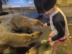 -郑州银基黄帝宫御温泉