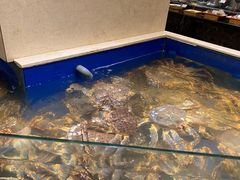 -海景壹号大酒店(滨湖店)