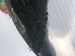 -梦幻奥陶纪景区