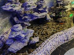 -懂生足疗SPA·康怡(天河北店)