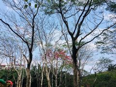 -广州雕塑公园