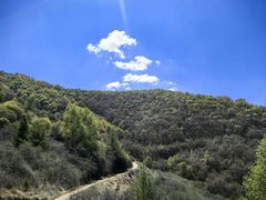 -云顶山风景区