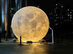 -东椰·海南椰子鸡火锅(朝阳门店)