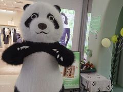 -眉州东坡·熊猫主题餐厅(枫蓝店)