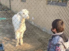 -百翠山居.家飨餐厅