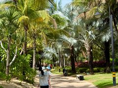 -海南清水湾莱佛士酒店