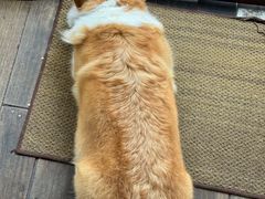 -肥朵食堂(带梦胡同店)