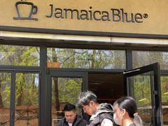-JamaicaBlue(新城国际店)