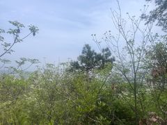 -德胜岩景区