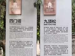 -四门塔风景区