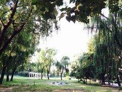 -中国中医科学院望京医院(院本部)