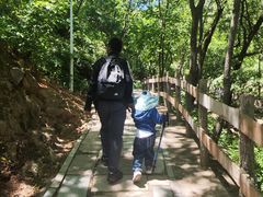 -大岭沟猕猴桃谷风景区