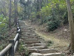 -冶父山国家森林公园