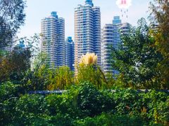 -碧桂园泰富城售楼部