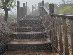 -北京十三陵国家森林公园蟒山景区