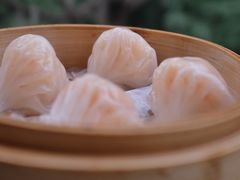 小湾虾饺皇-小湾茶楼
