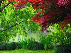 -西湖外事游船(花港观鱼码头)