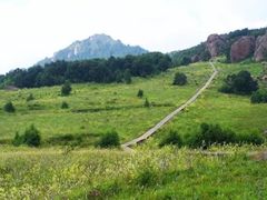 -白草畔自然风景区