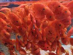 -常州海昌海洋探索馆
