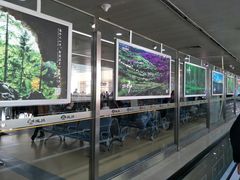 -哈尔滨太平国际机场