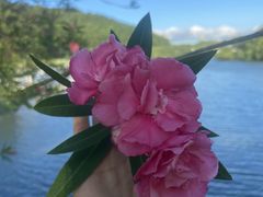 -东钱湖旅游度假区