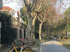 -美兰湖景区