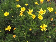 -云南艺术学院(呈贡校区)