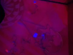 -好乐迪KTV(金钻店)