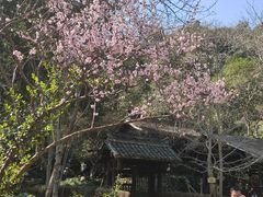 -黄公望隐居地