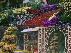 -上海共青森林公园