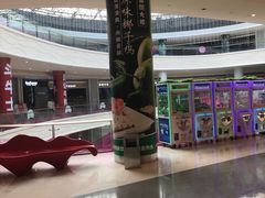 -春润大地海南椰子鸡(沙井京基百纳广场店)