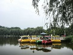 -五环公园
