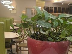 -苏湘小馆·不做预制菜(青年公社店)