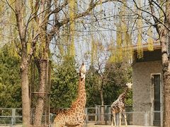 -石家庄市动物园