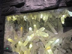 -湖南省地质博物馆