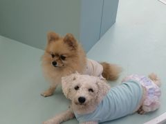 -怪兽屋·羊驼·猫咖·狗咖(俊华广场店)